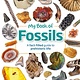 DK Children DK My Book of Fossils: A fact-filled guide to prehistoric life
