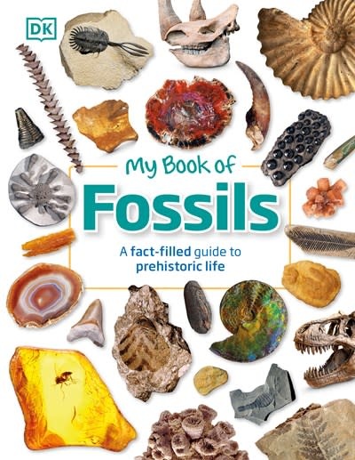 DK Children My Book of Fossils