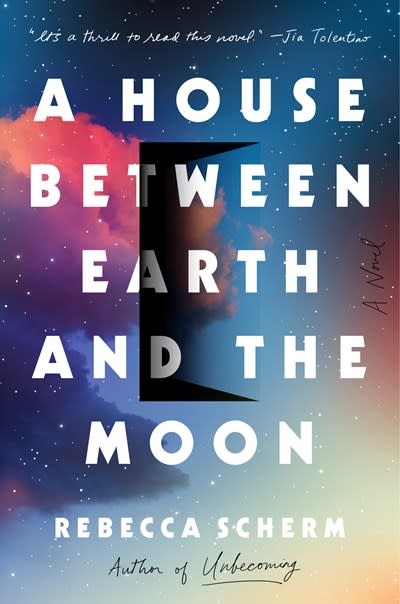 Viking A House Between Earth and the Moon: A novel
