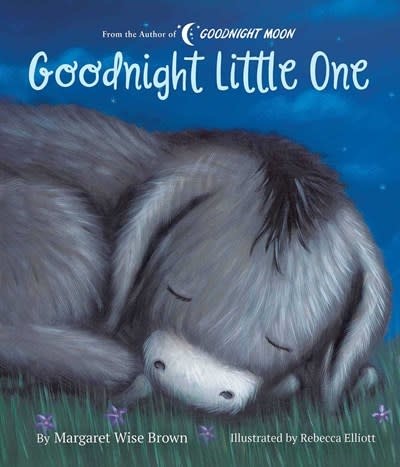 Silver Dolphin Books Goodnight Little One