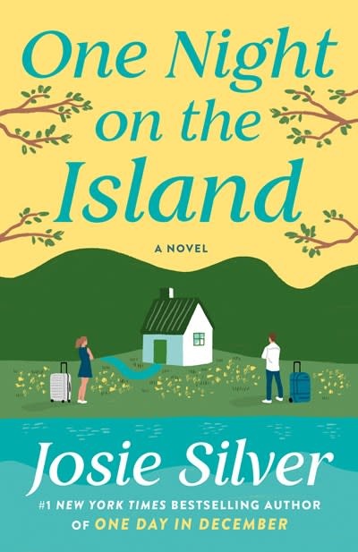 Ballantine Books One Night on the Island: A novel