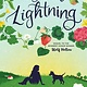 Dutton Books for Young Readers My Own Lightning