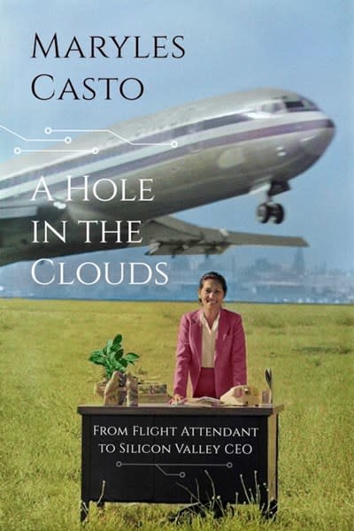 A Hole In The Clouds: From Flight Attendant to Silicon Valley CEO [Autobiographical]