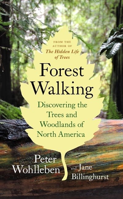 Greystone Books Forest Walking: Discovering the Trees and Woodlands of North America
