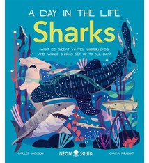 Sharks (A Day in the Life)