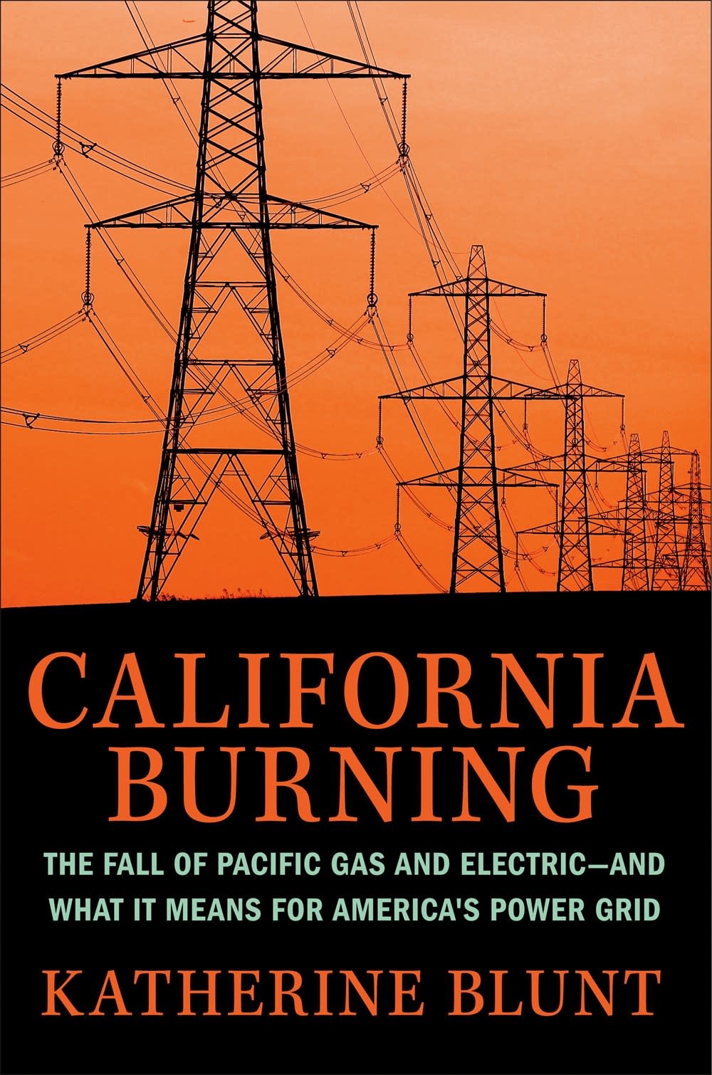 Portfolio California Burning: The Fall of Pacific Gas and Electric and What It Means for America's Power Grid