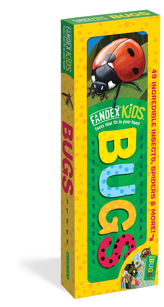 Workman Publishing Company Fandex Kids: Bugs