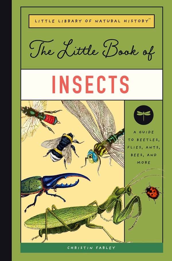 Bushel & Peck Books The Little Book of Insects