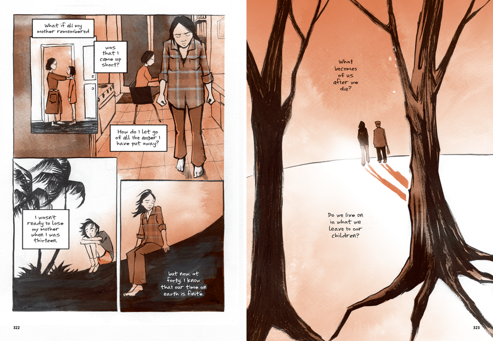 Abrams ComicArts The Best We Could Do: An Illustrated Memoir