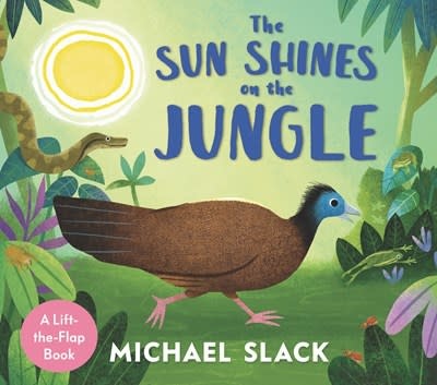 Candlewick The Sun Shines on the Jungle