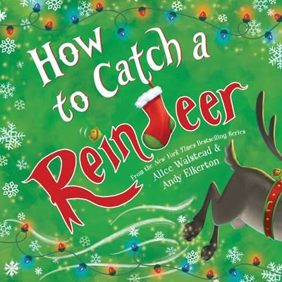 Sourcebooks Wonderland How to Catch a Reindeer