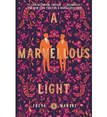 The Last Binding #1 A Marvellous Light