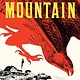 Hawk Mountain: A novel