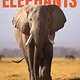 Scholastic Press Nic Bishop Elephants