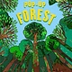 Pop-Up Forest