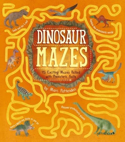 Arcturus Dinosaur Mazes