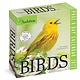 Workman Publishing Company Audubon Birds Page-A-Day Calendar 2023