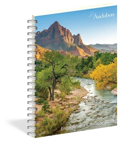 Workman Publishing Company Audubon Engagement Calendar 2023