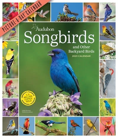 Workman Publishing Company Audubon Songbirds and Other Backyard Birds Picture-A-Day Wall Calendar 2023