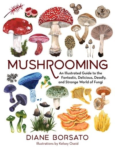 The Experiment Mushrooming