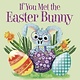 Random House Books for Young Readers If You Met the Easter Bunny