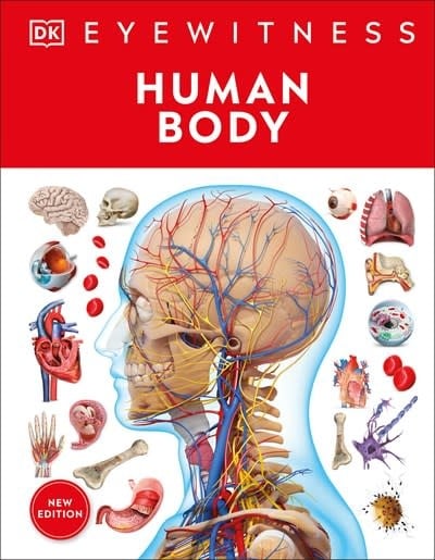 Human Body