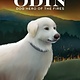 West Margin Press Odin: Dog Hero of the Fires