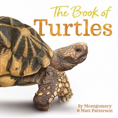 Clarion Books The Book of Turtles