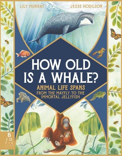 Big Picture Press How Old Is a Whale?