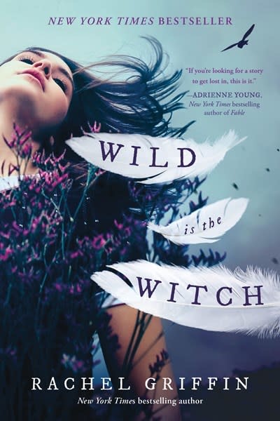 Sourcebooks Fire Wild Is the Witch