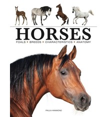 Amber Books Horses