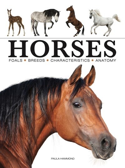 Amber Books Horses