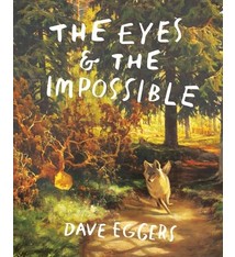 Knopf Books for Young Readers The Eyes and the Impossible