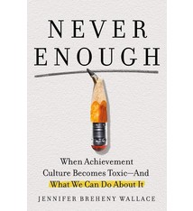 Portfolio Never Enough