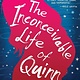 Amulet Paperbacks The Inconceivable Life of Quinn