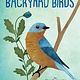 Gibbs Smith A Kid's Guide to Backyard Birds
