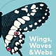 Greystone Kids Wings, Waves & Webs