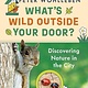 Greystone Kids What's Wild Outside Your Door?: Discovering Nature in the City