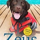 Starscape Zeus: Water Rescue