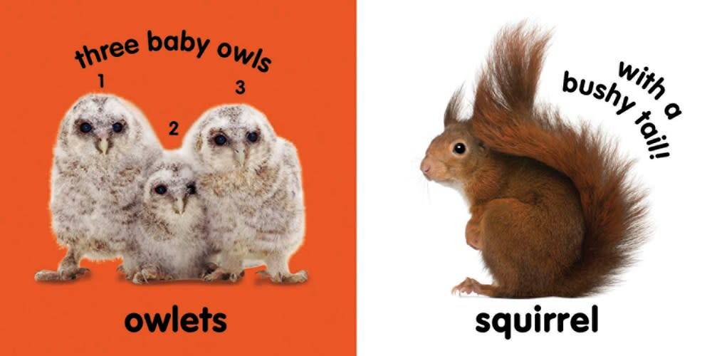 Baby Touch and Feel: Fluffy Animals