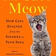 Viking The Cat's Meow: How Cats Evolved from the Savanna to Your Sofa