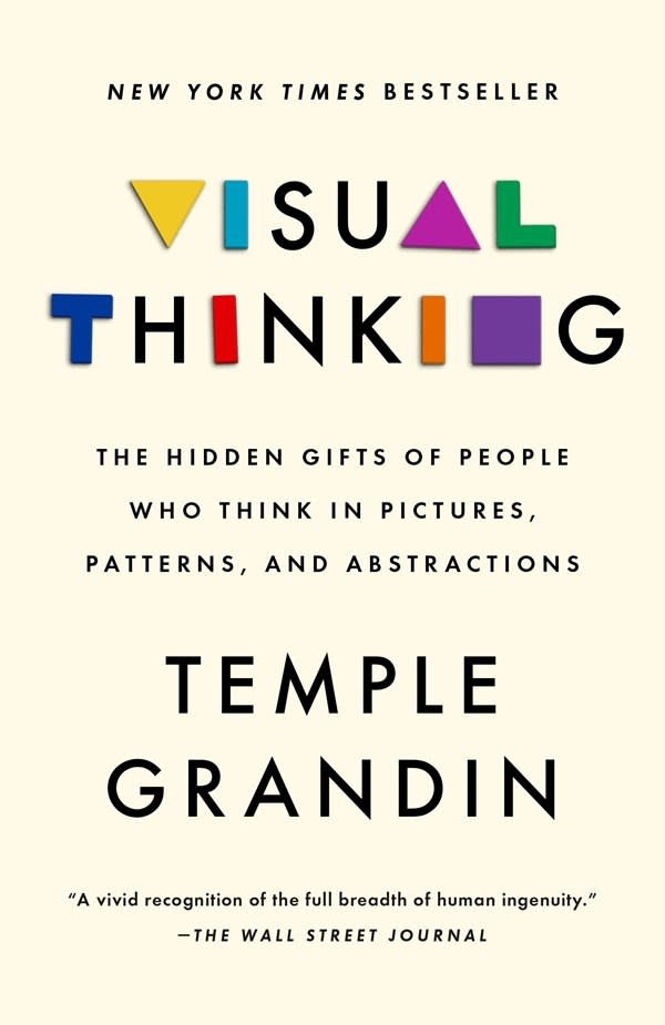 Riverhead Books Visual Thinking