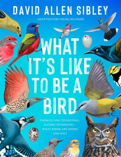 Delacorte Press What It's Like to Be a Bird (Adapted for Young Readers)