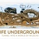 DK Children DK Kids: Life Underground, tunnel into a world a wildlife