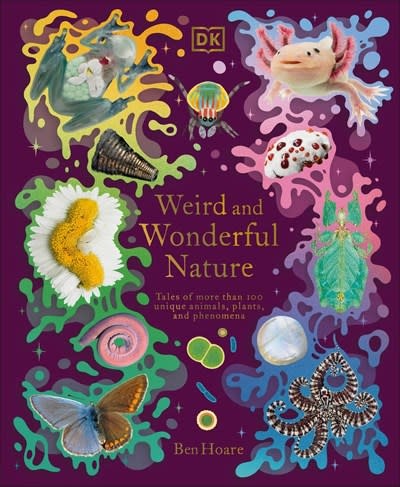 DK Children DK Treasures: Weird & Wonderful Nature: Tales of More Than 100 Unique Animals, Plants, & Phenomena