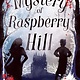 Pushkin Children's Books The Mystery of Raspberry Hill