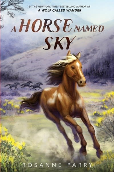 Greenwillow Books A Horse Named Sky