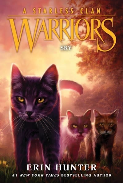 Sky (Warriors: A Starless Clan, #2) by Erin Hunter