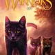 HarperCollins Warriors: A Starless Clan #2: Sky