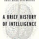 Mariner Books A Brief History of Intelligence